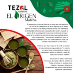 Té-Matcha-origen