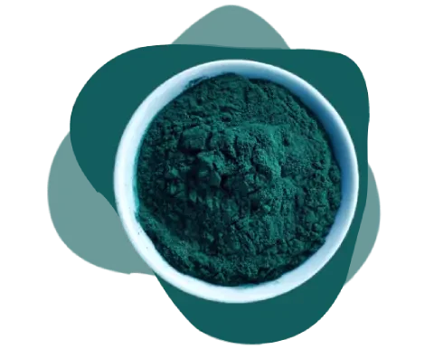 espirulina espirulina