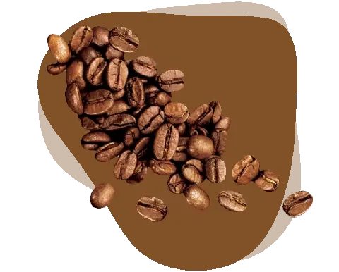 tezal-cafe tezal-cafe